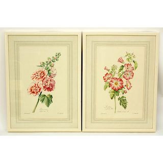 Two (2) After: Gérard van Spaendonck, French (1746 - 1822) Hand Coloured Botanical Engravings.