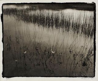 Koichiro Kurita (Japanese/American, b. 1943)  Feathers and Water Grasses, Acadia, Maine