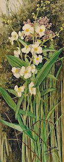 Ellen Robbins (American, 1828-1905)  Two Plein Air Compositions of Wildflowers and Grasses