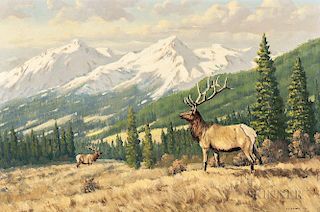 Robert S. Sleicher (American, 1927-2017)  Alberta Elk