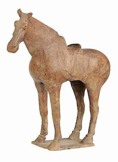 Tang Dynasty Horse with Saddle