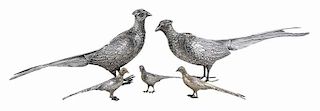 Five Silver Pheasants