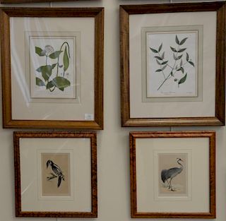 Group of eight framed and matted lithographs to include four colored lithographs of leaves and flowers Endicott New York and