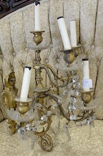 Pair of Louis XV French style gilt metal and glass six light sconces, electrified. ht. 21 1/2in., wd. 18in.