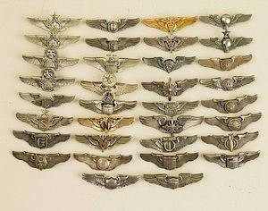 34 Pair US "Shirt-sized" Wings, incl. Flight Surgeon, Nurse, Liaison, Service, Glider and more, 22 sterling