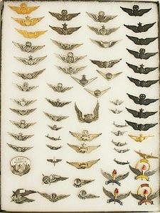 US Army, ROTC, and Calif. National Guard Wings and Badges