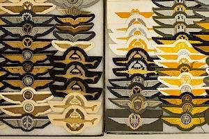 West German and Modern German Flight Badges and Wings (2 Frames)