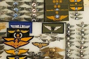 Taiwan and other Asian Wings and Flight Badges (3 Frames)