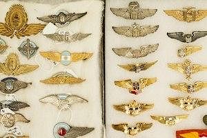 Argentina and Nicaragua Flight Wings and Badges (2 Frames)