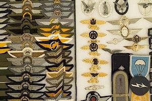 German post-WWII Wings and Aviation Insignia (2 Frames)