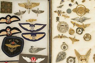 US, British and Misc. Countries Aviation Wings, etc. (2 Frames)