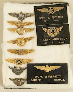 10 Outstanding US Navy Wings in Silver, Gilt, and Leather