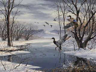 David A. Maass (b. 1929) Mallards in Winter