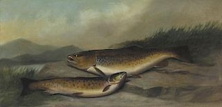John Bucknell Russell (Scottish, 1820-1893) Brown Trout
