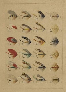 Wakeman Holberton (1839-1898) Fly Fishing Illustration