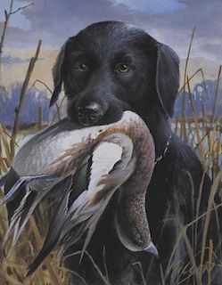 James Killen (b. 1934) Labrador With Duck
