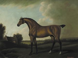 Richard Hines (20th Century) Horse Portrait