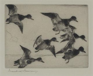 Frank W. Benson (1862-1951) Bunch of Bluebills