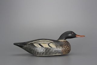 Swimming Red-Breasted Merganser A. Elmer Crowell (1862-1952)