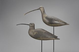 Important Long-Billed Curlew Pair Thomas Gelston (1851-1924)