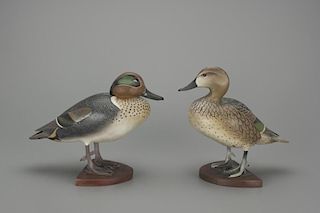 Outstanding Green-Winged Teal Pair The Ward Brothers