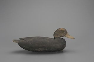 Black Duck John English (1848-1915)