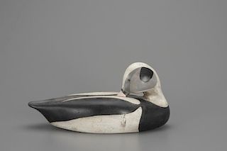 Preening Long-Tailed Duck Frank J. Dobbins (1907-1990)