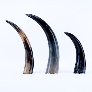 Set of Three (3) Decorative Polished Horns