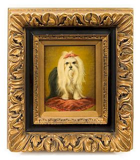 * Artist Unknown, (20th century), Long-Haired Maltese