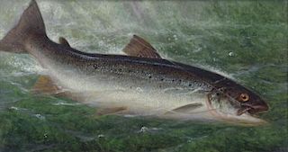 CARY, William De La Montagne. Oil on Canvas. Fish.