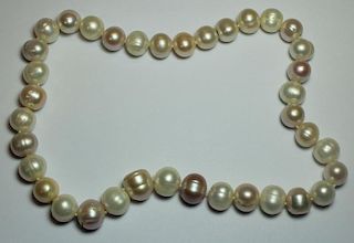 JEWELRY. Single Strand Ribbed Pearl Necklace.