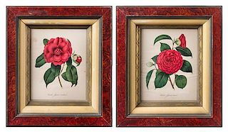 A Pair of Lithographs 9 3/8 x 7 1/4 inches (visible).