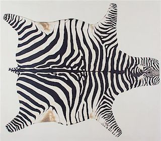 Artist Unknown, (20th Century), Zebra Skin