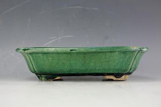 A Green underglazed Narcissus plate from late Qing