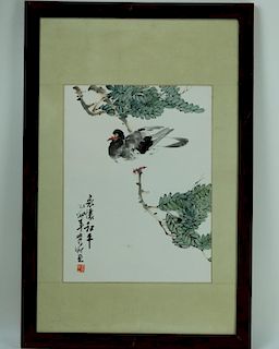 Chinese watercolor painting of Dove by Du Duzhi