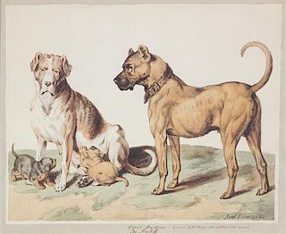 Sydenham Teast Edwards, (English, 1768-1819), A Group of Four Works Depicting Dog Breeds