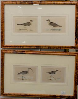 Set of eight colored lithographs in four frames of The History of British Birds by Reverend F.O. Morris, published in London 