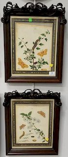 Four framed pieces to include two 19th century colored lithographs of moths in hardwood flower carved frame (ss 15 1/2" x 12 