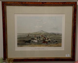 After Georg Catlin (1796-1872) hand colored lithograph "Wild Horses, at Play", plate No. 3, from The North American Indian Po