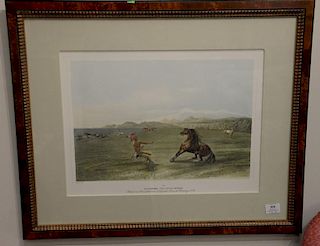 After Georg Catlin (1796-1872) hand colored lithograph "Catching the Wild Horse", plate No. 4, from The North American Indian