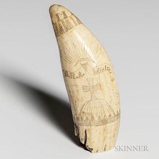 Small Scrimshaw Whale's Tooth