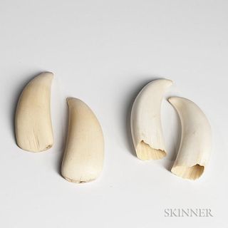 Two Pairs of Polished Whale's Teeth