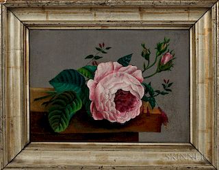 American School, 19th Century  Still Life Painting of a Pink Rose
