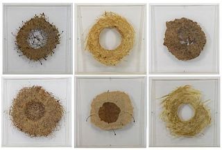 GOLDSWORTHY, Andy. "A Box with Holes - Forest Park