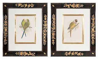 Two Decorative Prints of Birds in Painted and Lacquered Frames, Height 18 x width 15 inches.