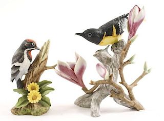 Pair of Porcelain Bird Figurines, Audubon & Andrea