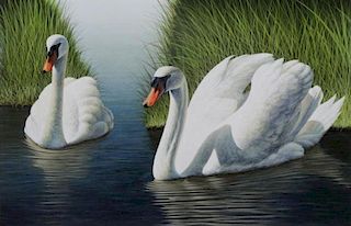 JONES, David. Acrylic on Board. Swans in the Marsh