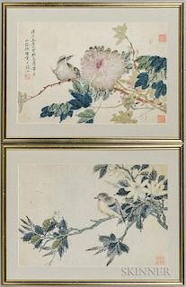 Pair of Bird-and-Flower Paintings