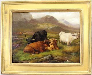 John Morris, "Highland Cattle"