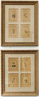 A Pair of Botanical Prints Framed 24 x 19 3/4 inches.